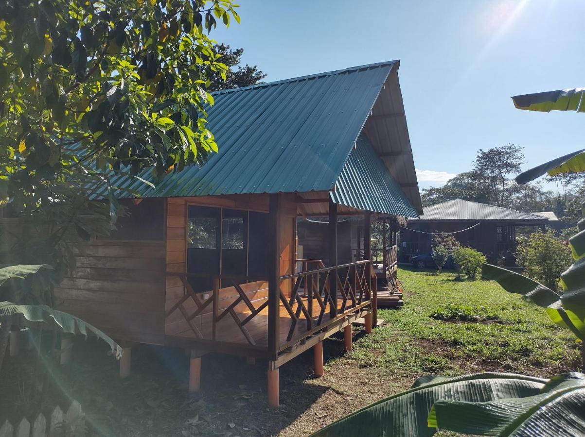 Quirquincho House Lodge Puerto Maldonado Bagian luar foto