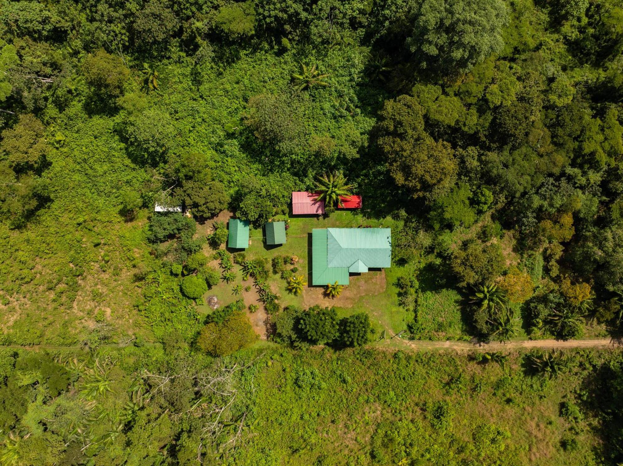 Quirquincho House Lodge Puerto Maldonado Bagian luar foto